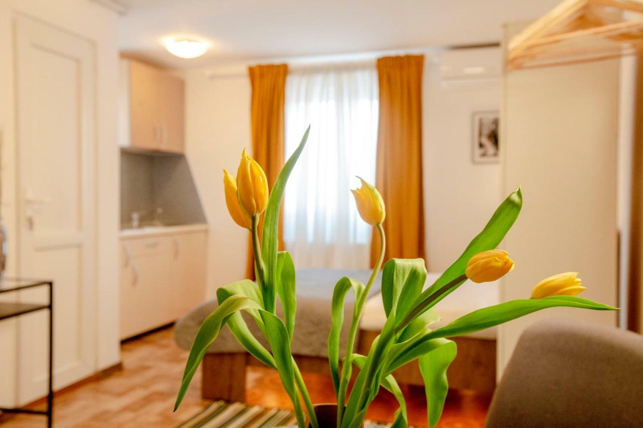 Color Apartments Downtown ブカレスト エクステリア 写真